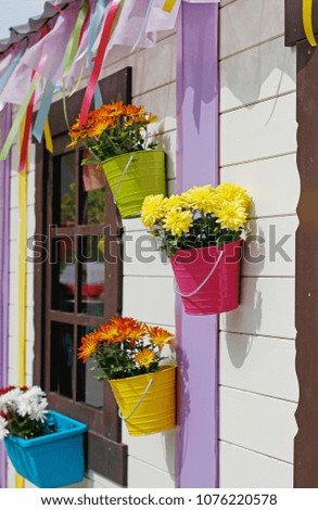 Colorful chrysanthemums in flowerpots hanging on facade of building