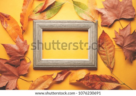 Vintage photo frame, autumn leaves of different colors on a yellow background, copy space