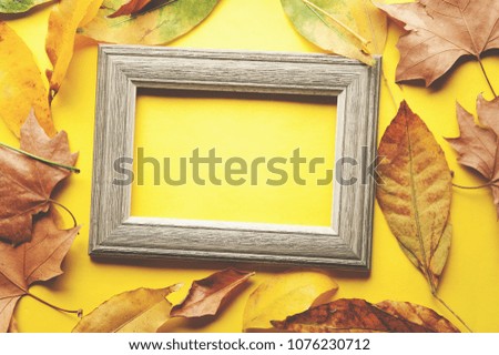 Vintage photo frame, autumn leaves of different colors on a yellow background, copy space