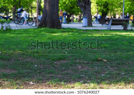 People in a city park