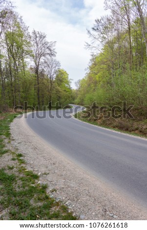 An asphalt road thru the forest in S shape. A beautiful gray serpentine in the green forest and sky in the background