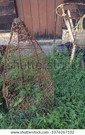 An old rusty cone shaped chicken wire fishing trap sitting upright and abandoned on tall grass and weeds in front of dark brown stained wooden planks with frayed ropes and nets in the background. 