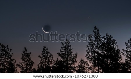 full moon rises over forest deep night clean sky forest at swedish countryside