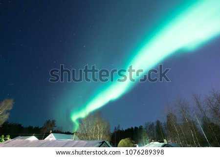 northern lights (aurora) above the roofs and forest around,  night sky at swedish countryside, north of country, village, copy space