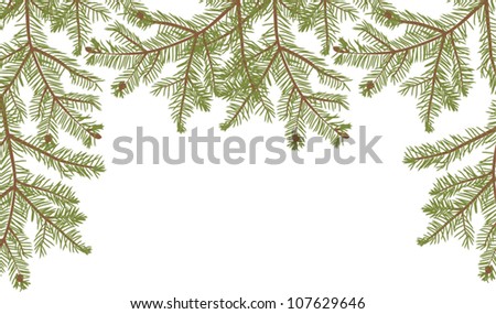 illustration with fir branches isolated on white background