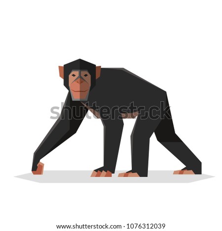 Flat geometric Chimpanzee