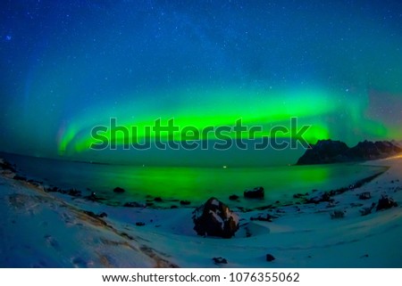 Beautiful picture of massive multicoloured vibrant Aurora Borealis, Aurora Polaris, also know as Northern Lights in the night blue sky over Lofoten Islands