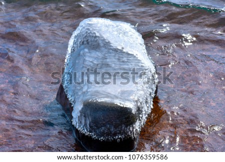 Icy Stone in the shape of a Hippo head
