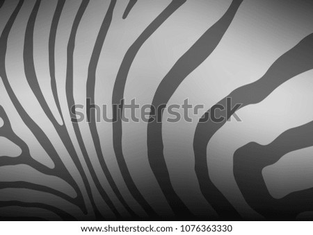 Dark Silver, Gray vector indian curved pattern. Colorful abstract illustration with lines in Asian style. The elegant pattern can be used as a part of a brand book.