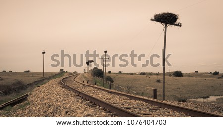 Railroad with nests of storks