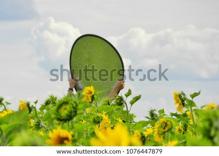 Reflector light for photography , used by photographers to direct light to the model. Backstage in sunflower fields. Work of photographer