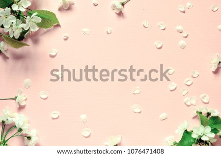 Flowering branches and petals on a pink background.