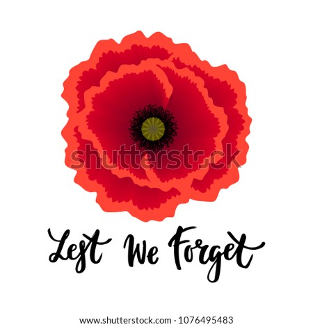 Vector illustration of a bright realistic poppy flower. Remembrance day symbol. Lest we forget lettering. 