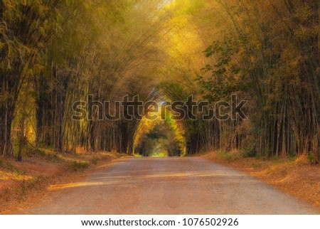  Tree tunnels and sunlight. , Shooting location  in Khao Kor, Thailand