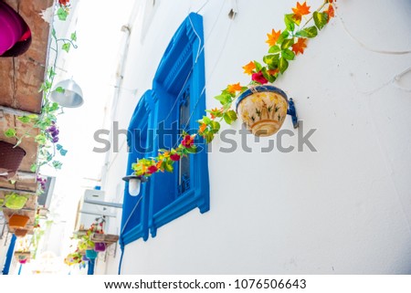 Flower pots on wall of narrow streets of Bodrum with white houses in Greek style Bodrum.Turkey.