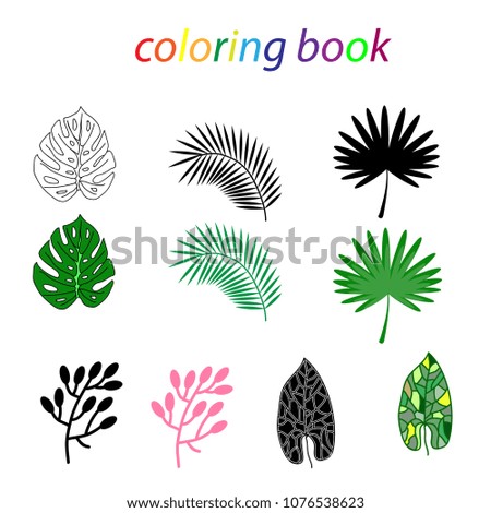 Coloring book of a tropical leaf for beginners to draw and children.