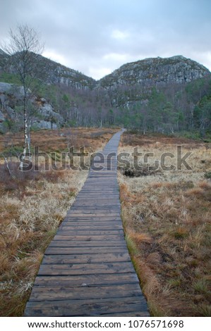 wooden board walk through Norway wilderness