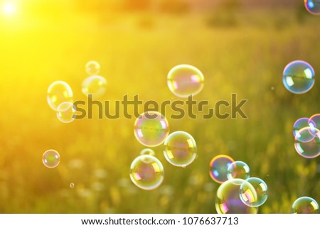 Abstract, blurry soap bubbles in the field at sunset background. Design Elements Royalty-Free Stock Photo #1076637713