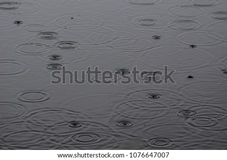 RAIN - Drops and circles on the water
