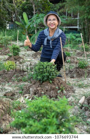 Smiling Senior Asian Thumb up in the garden.