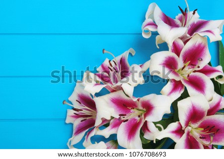  Fresh spring lily flowers on turquoise painted wooden planks