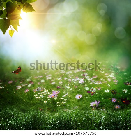 Early morning in the deep forest. Abstract natural backgrounds