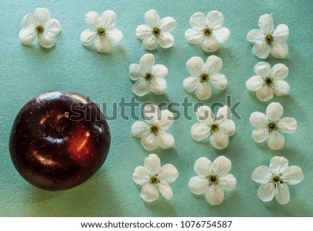 A turquoise colored background with white apple flowers and a crimson apple , located on the left lower corner of the pattern. Concept - maturity and  adolescence; parent and children.