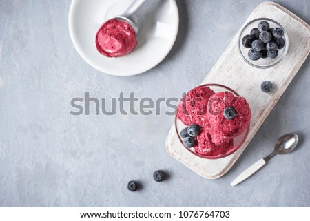 Healthy homemade raw vegan banana and berry ice cream (nicecream) topped with organic blueberries and mint - healthy vegetarian diet vegan raw fruit organic delicious dessert, dairy free, gluten free
