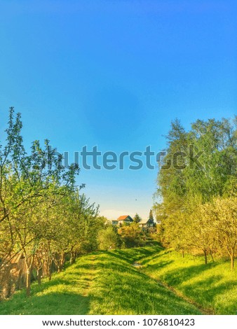 an amazing spring view. sunny and blue sky, a house near the river and green trees. fascinating time of the season at Czech Republic