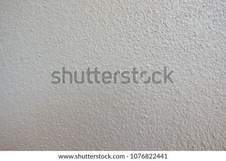 new cement wall texture after paint color which is A semi-shade and pastel