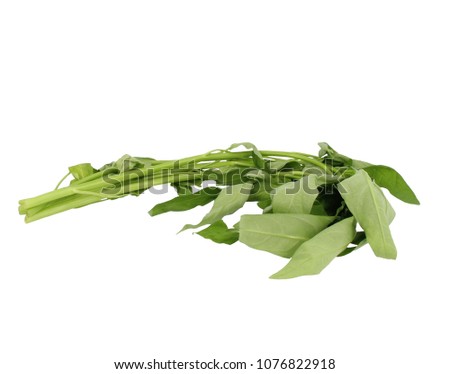 Kangkong water spinach stem bunch