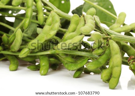green soy bean on white background