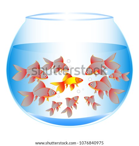 A wonderful concept of fish in an aquarium with an ounce of one against all