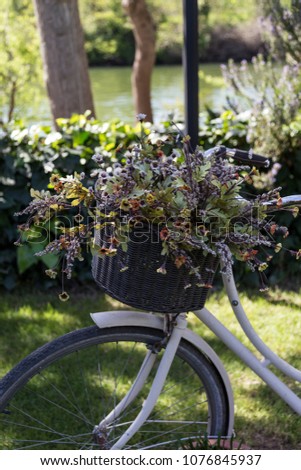 
decorative bicycle by the lake . spring flowers . 