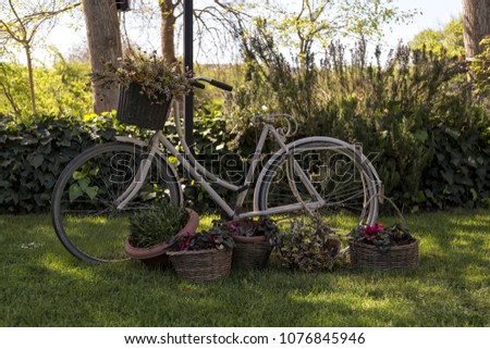 
decorative bicycle by the lake . spring flowers . 