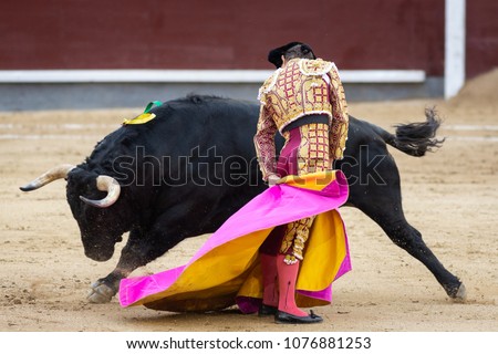 
Bullfighter in front of fighting bull Royalty-Free Stock Photo #1076881253
