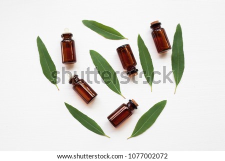 Eucalyptus oil bottle with  leaves on white background.
