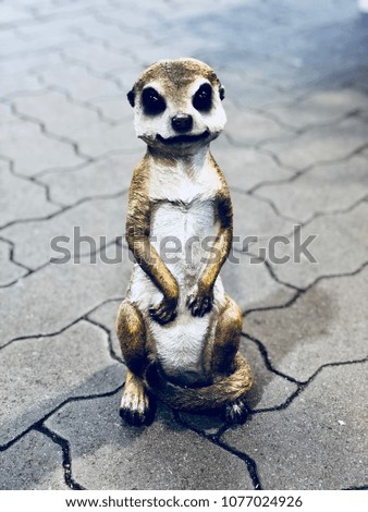 Lost meerkat on the streets