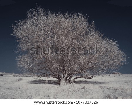 infrared photography - ir photo of landscape under sky with clouds