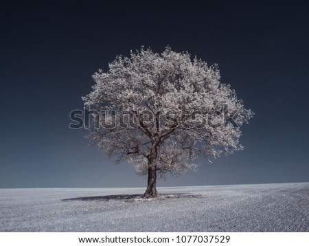 infrared photography - ir photo of landscape under sky with clouds