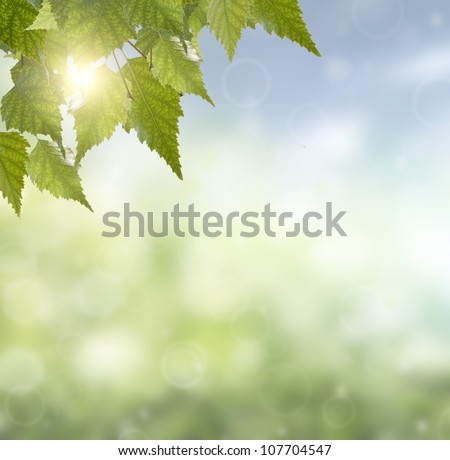 Spring or summer season abstract nature background with grass and blue sky in the back