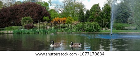 Pinner Memorial Park, Pinner, Middlesex, UK. Panoramic photo taken on a sunny (partially cloudy) spring day, showing lake with fountain, birds, ducks, geese, trees and green foliage.