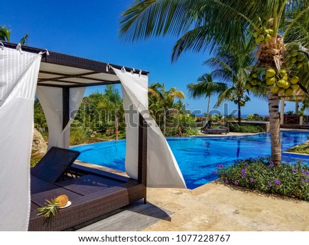 Tropical swimming pool landscape