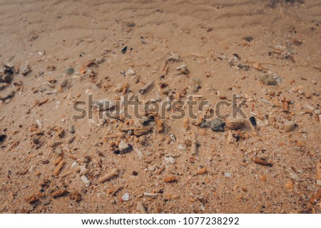 Pebbles and shells on beaches beaches by sea waves.
