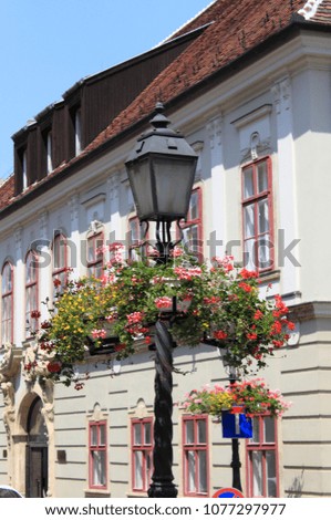 Old style street lamp with a pot of red flowers