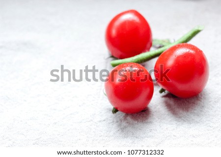 Red little tomato in front of white background.