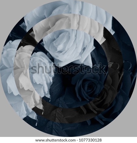 Abstract flower rose bud