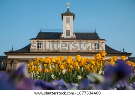 A picture of the castle Pillnitz during the sunny spring afternoon. The garden is full of flowers. 