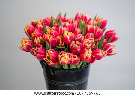Flowers bouquet of red tulips in black bucket on white isolated background with copy space