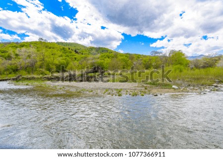 Beautiful pristine river against backdrop of spring green forest, mountains and blue skies with puffy clouds.